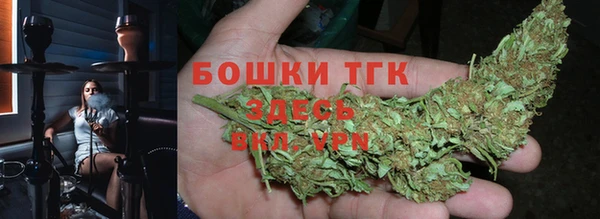 дурь Богданович