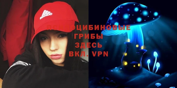дурь Богданович