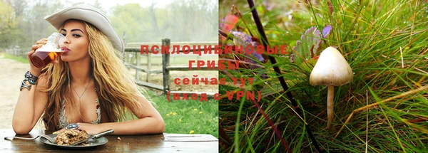 круглые Бронницы