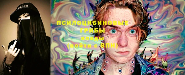 прущие крисы Богородск