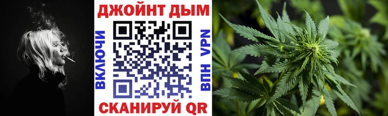 магазин    Горно-Алтайск  Каннабис сатива 
